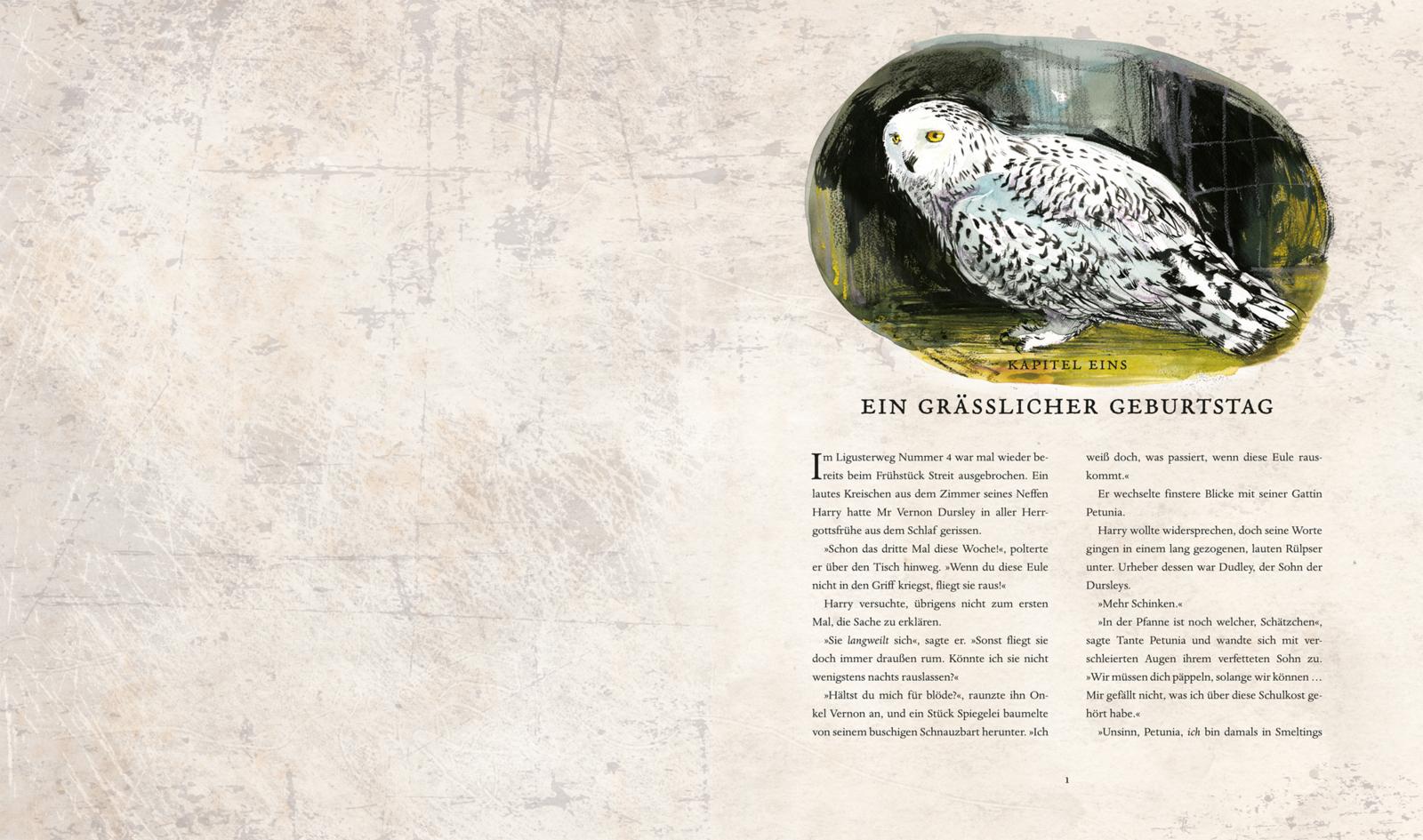 Harry Potter Bd.2: ...und die Kammer des Schreckens (illustr.) 