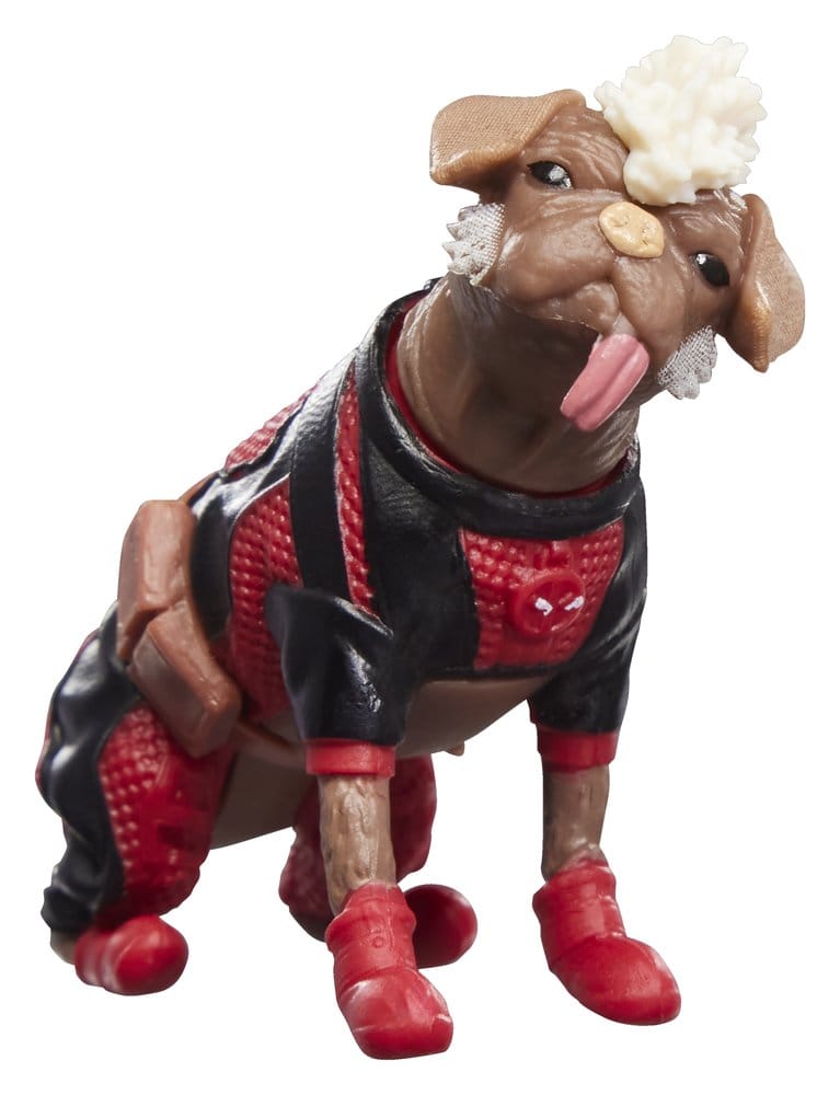 Hund, Dackel, Figur, Trikot, Knopfauge