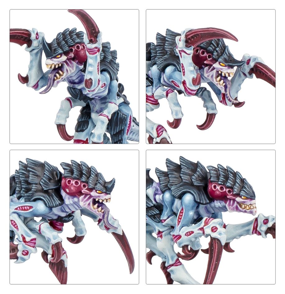 Warhammer 40K: Kill Team - Typhon dt.