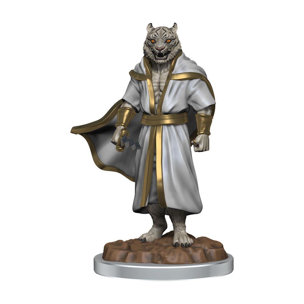 Critical Role Miniatures: Male Human Sorcerer Merchant & Tiger Demon Critical Role Miniatures: Male Human Sorcerer Merchant & Tiger Demon