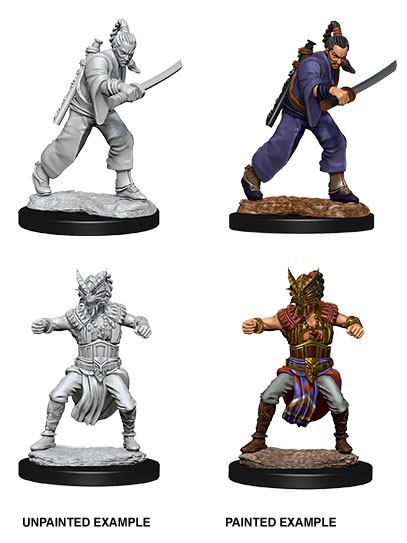 D&D Miniatures: Human Monk