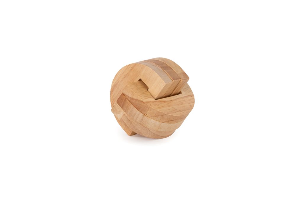 Brain Puzzle N03: Temporal Lobe