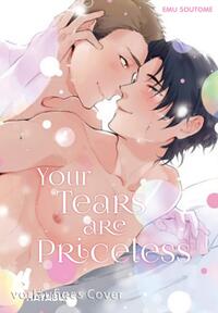 Your Tears are Priceless Buch, Veröffentlichung, Comics