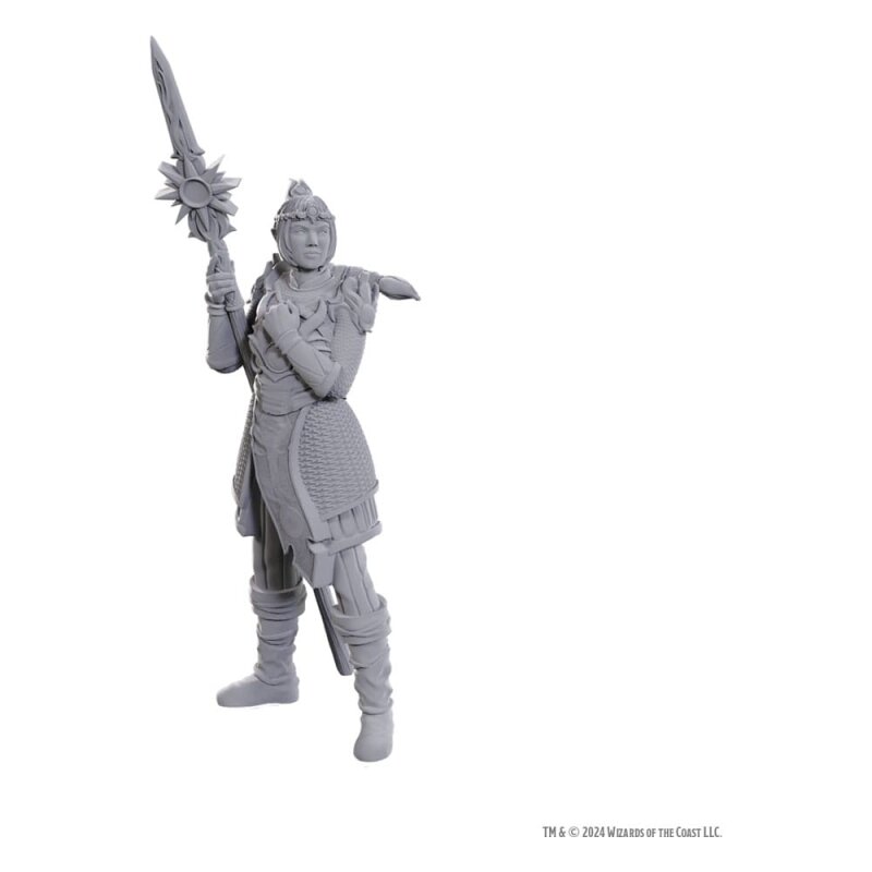 D&D Miniatures: Baldur's Gate - Lae'zel & Shadowheart