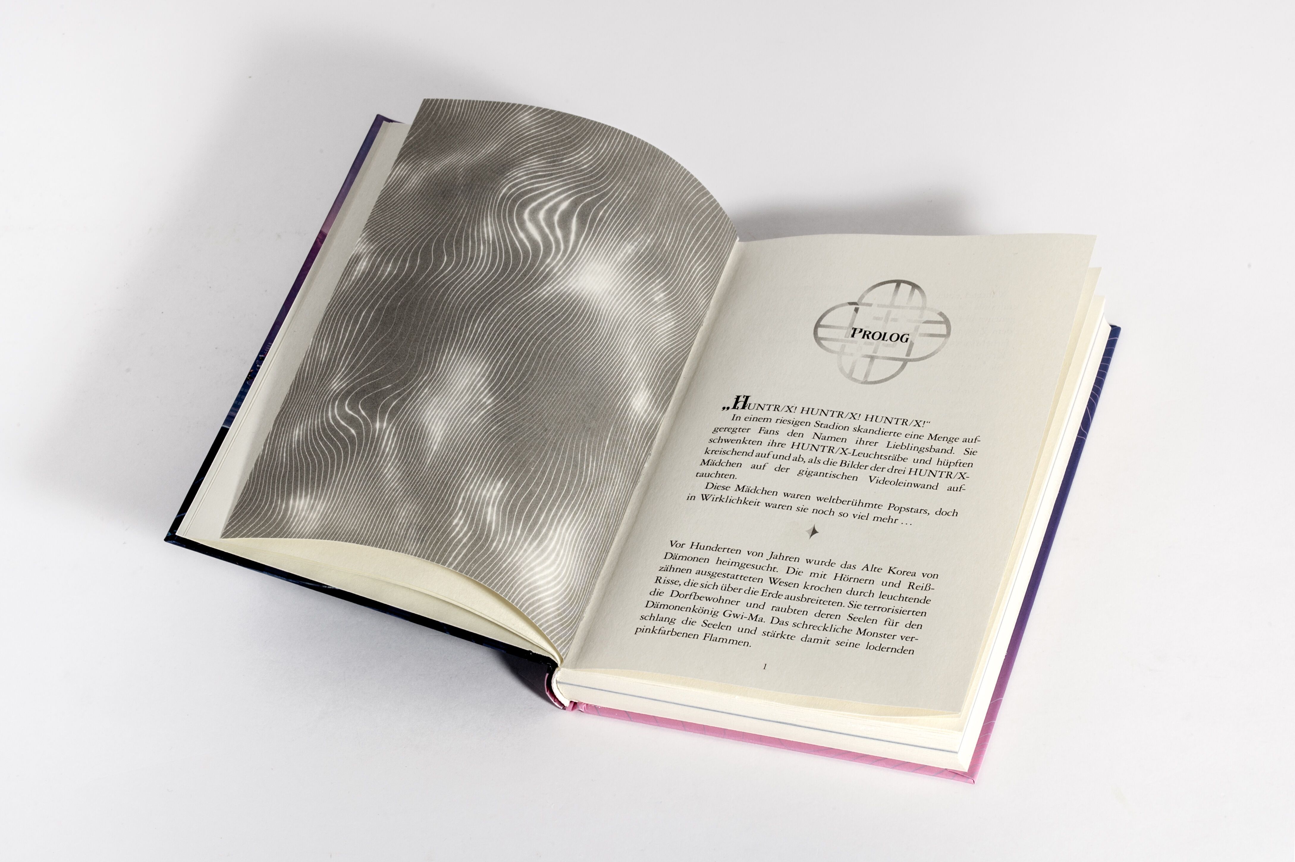 buch, lehrbuch, gedruckt, seite, illustration