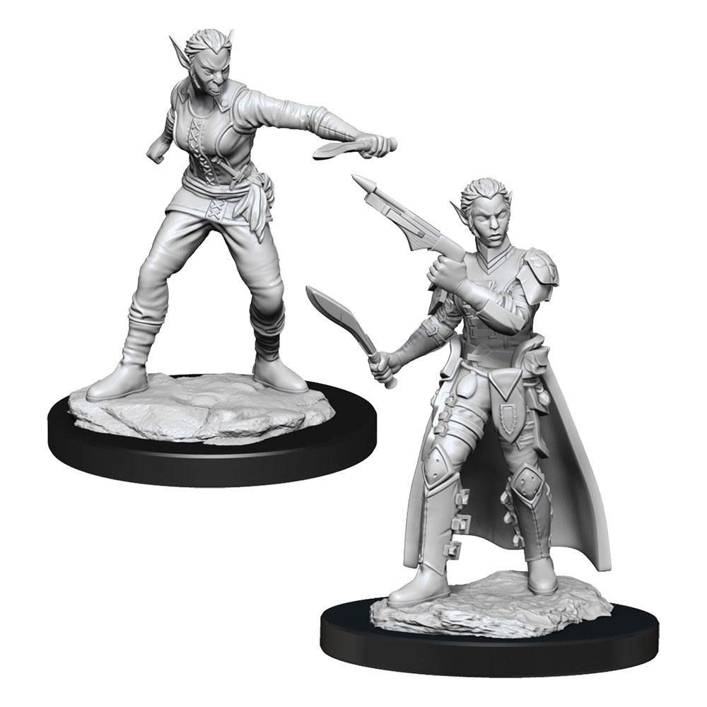 D&D Miniatures: Shifter Rogue D&D Miniatures: Shifter Rogue