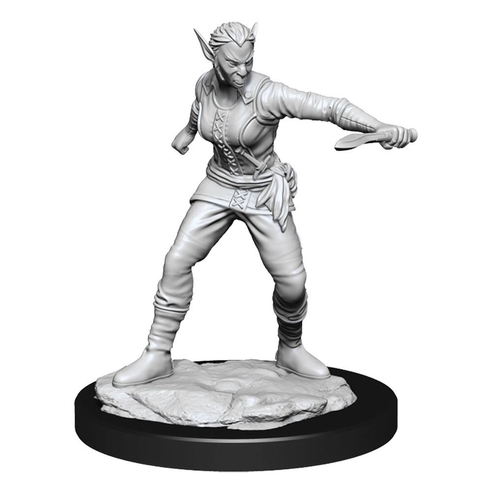 D&D Miniatures: Shifter Rogue