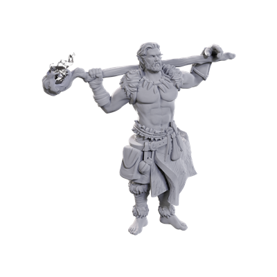 D&D Miniatures: Archdruid & Martial Art Adept