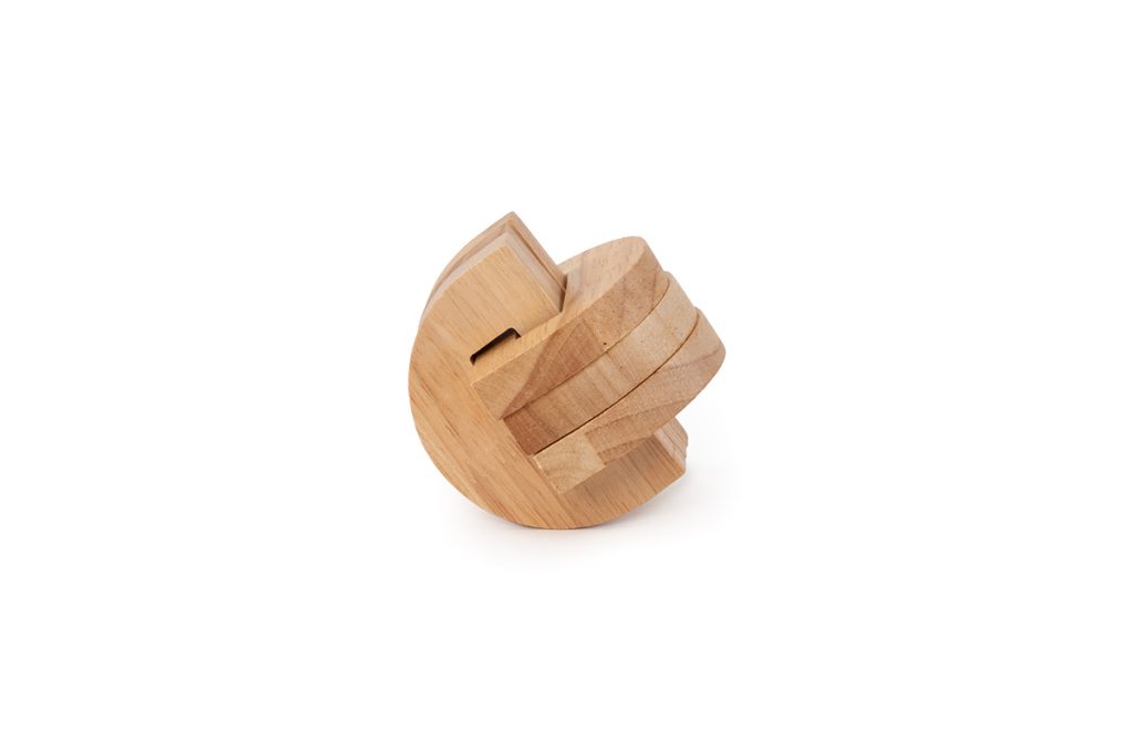 Brain Puzzle N03: Temporal Lobe