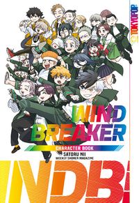 Charakterensemble, Manga-Sammelfigur, bunte Gruppe, Band von Charakteren, Buchumschlagskunst