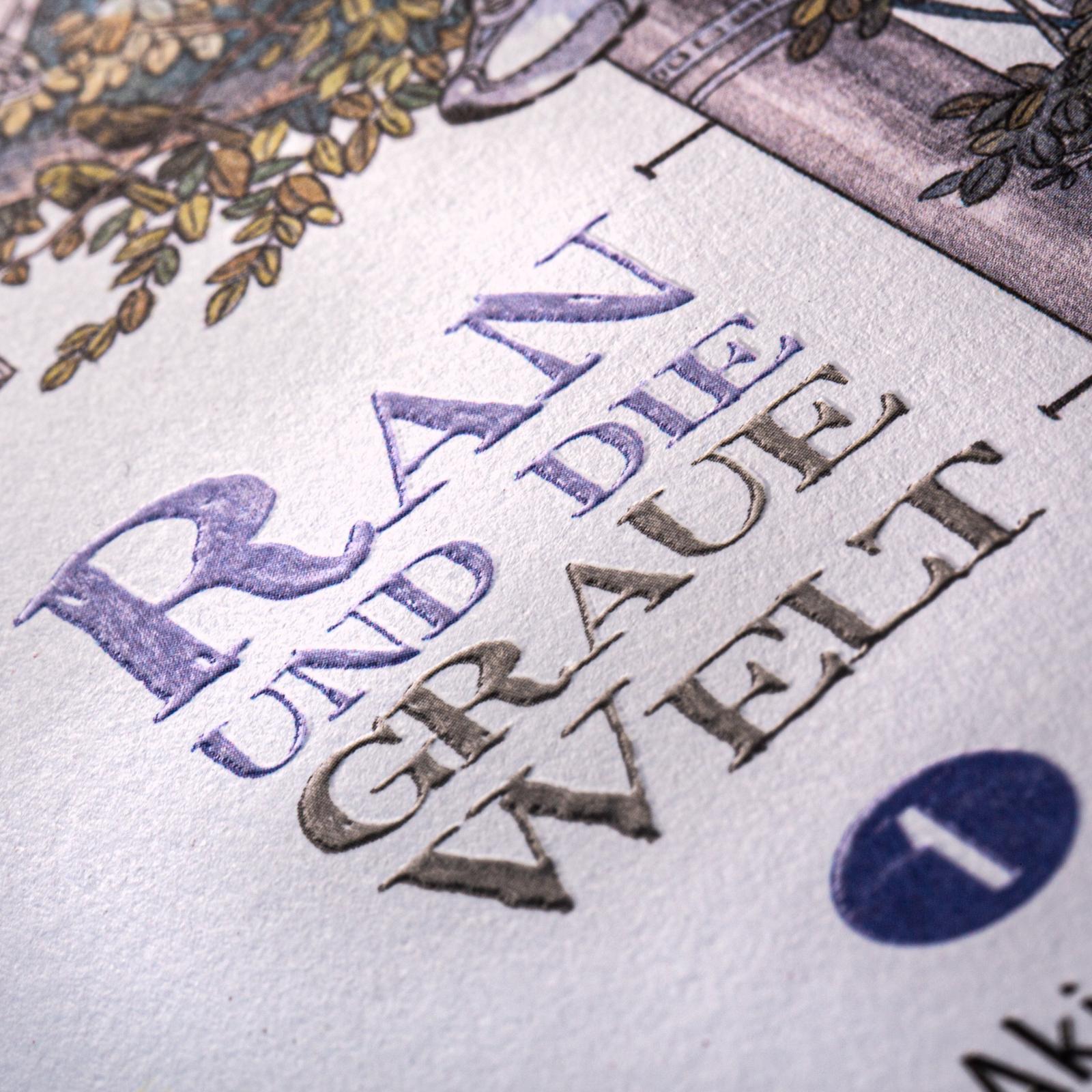 Ran und die graue Welt Bd.1