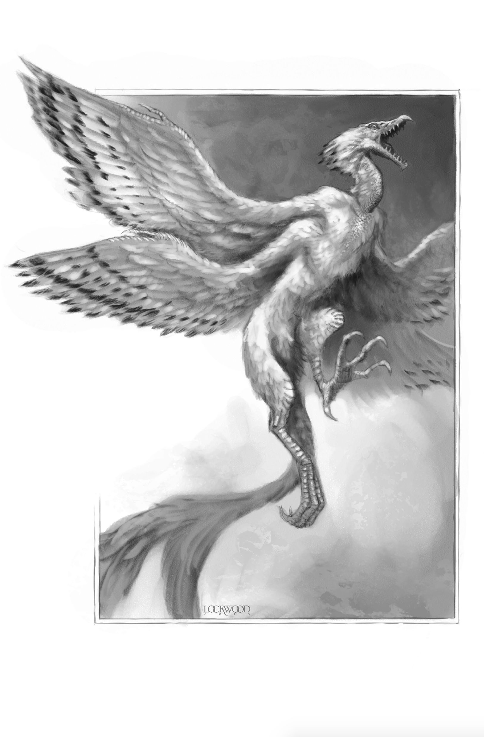 Drachen, Flügeltier, Vogelmonster, Fantasy, Schwarzweiß