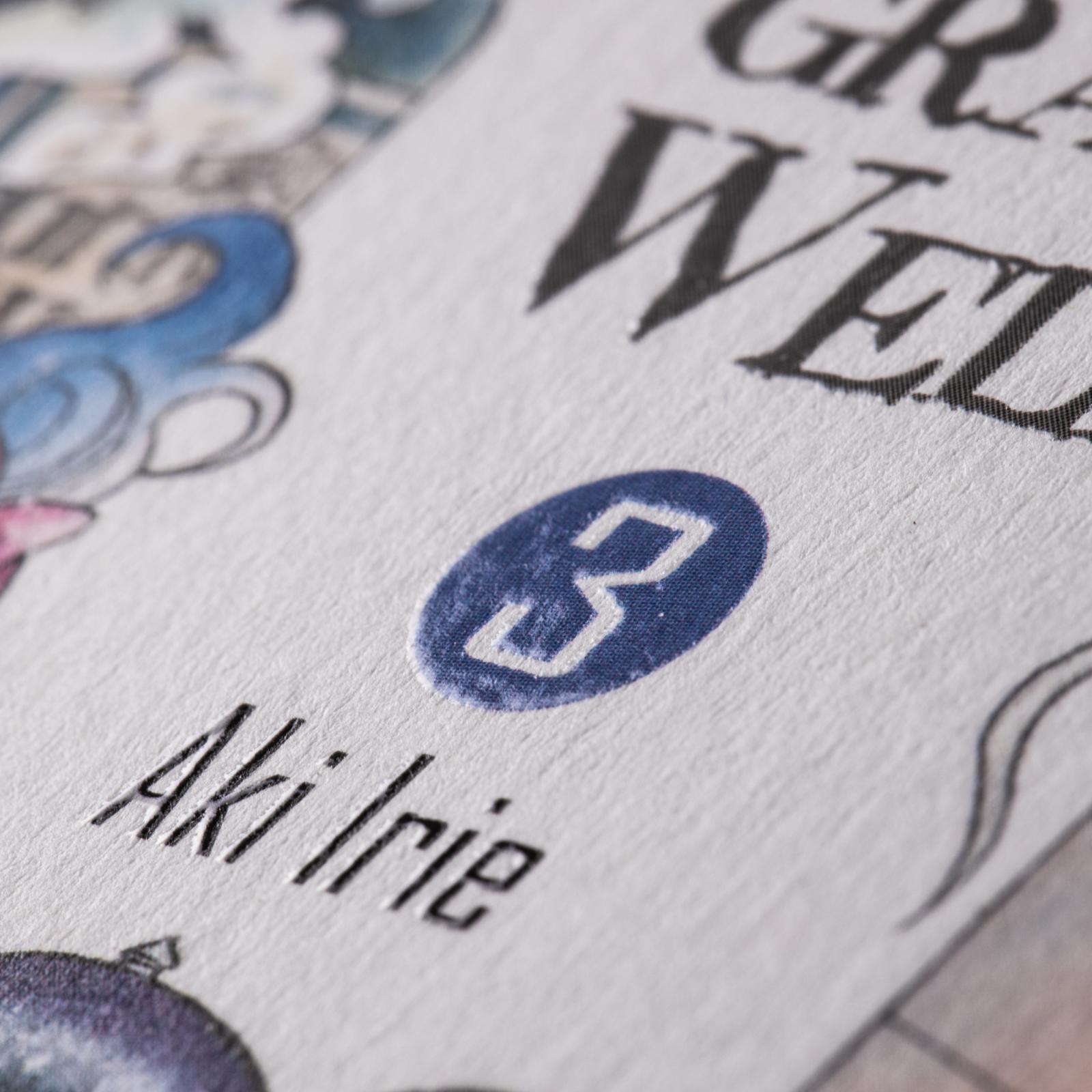 Ran und die graue Welt Bd.3