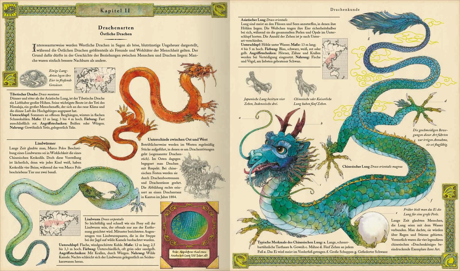 drachen, drachenei, dragon, langer schlangen, illustration