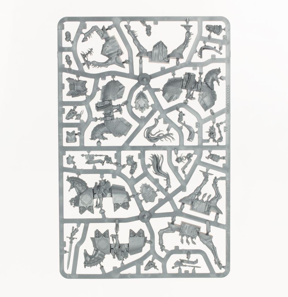 Warhammer: Cities of Sigmar - Freeguild Cavaliers