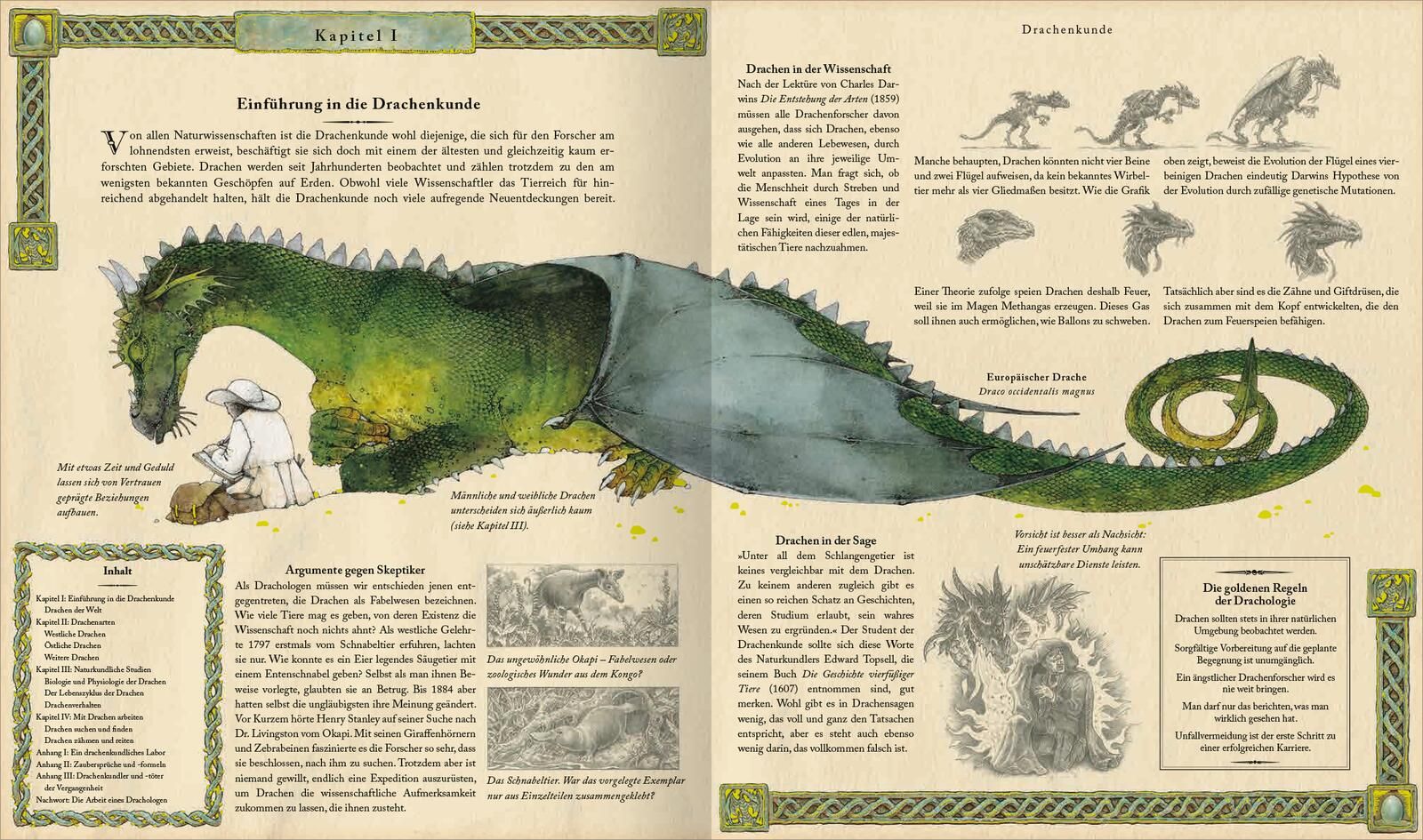 Drachen, Dragon, Dracheneinführung, Naturkunde, Illustration