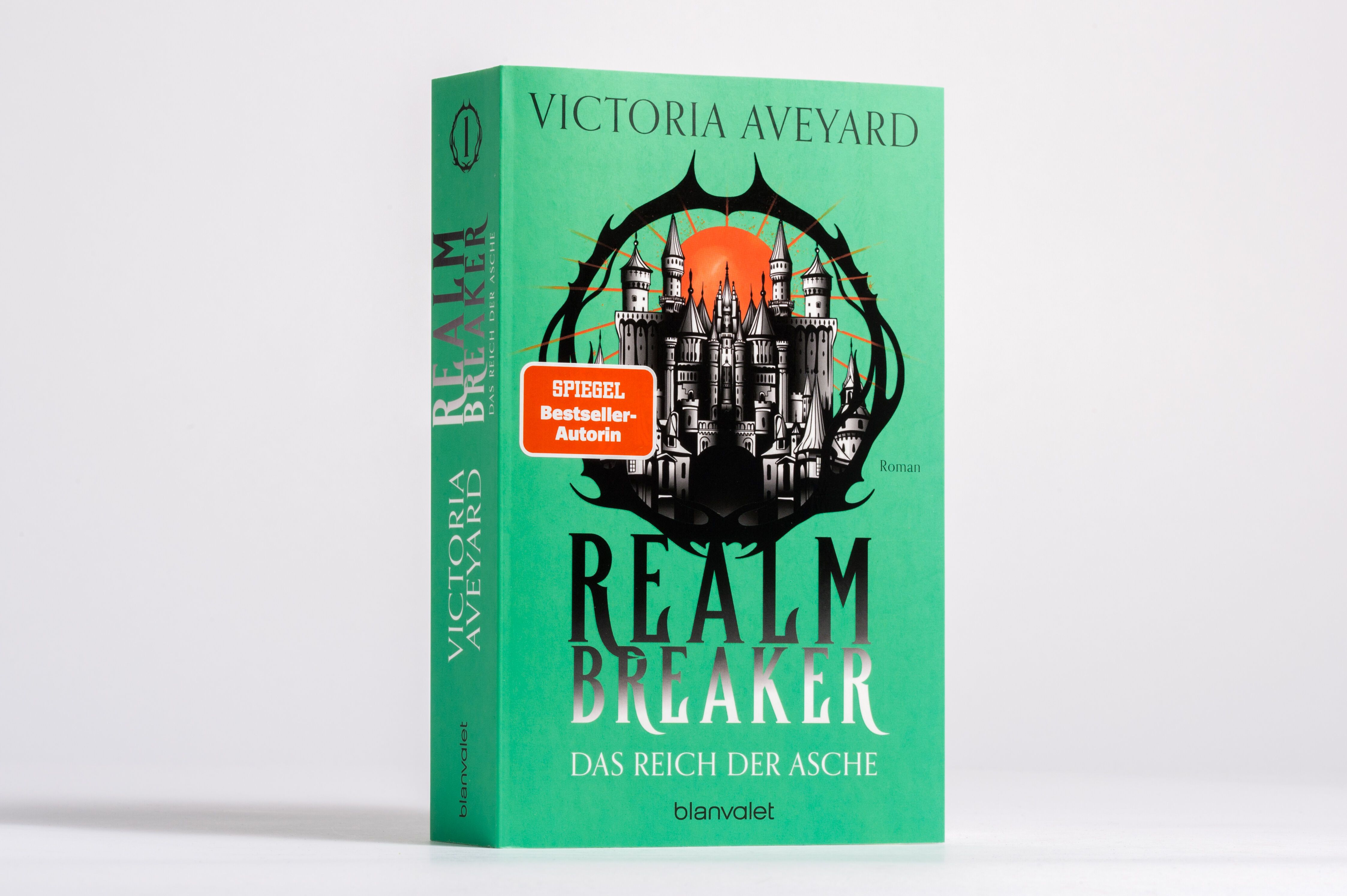 Roman, Hardcover, Grüne Anleitung, Schloss-Illustration, Fantasy-Roman
