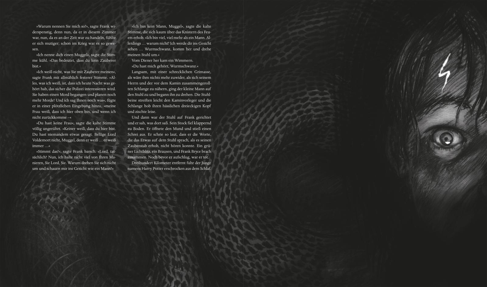 Harry Potter Bd.4: Harry Potter und der Feuerkelch (illustr.) Harry Potter Bd.4: Harry Potter und der Feuerkelch (illustr.)