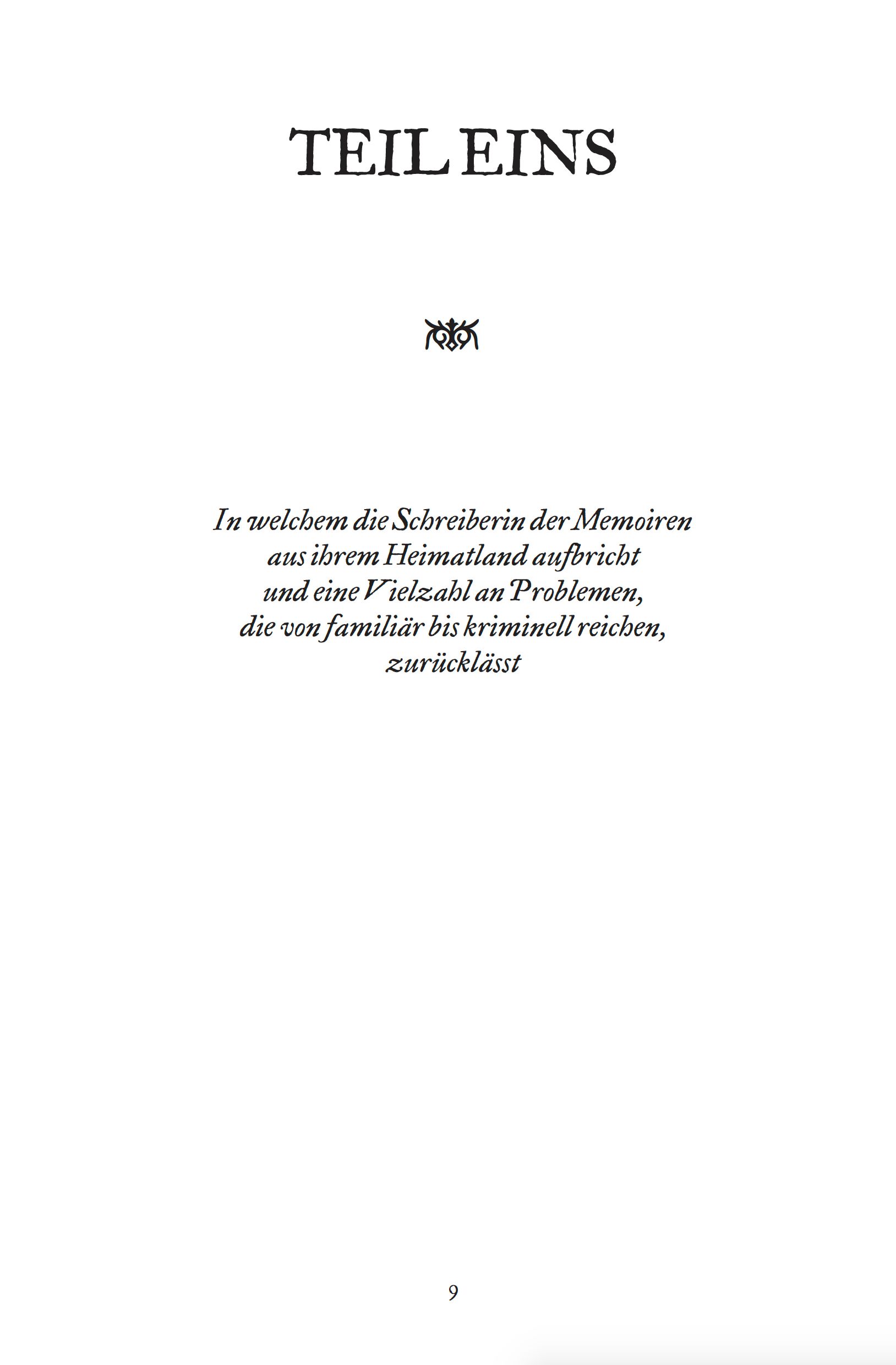 Buchseite, Titelblatt, Schriftzug, Textseite, Kunstlettering