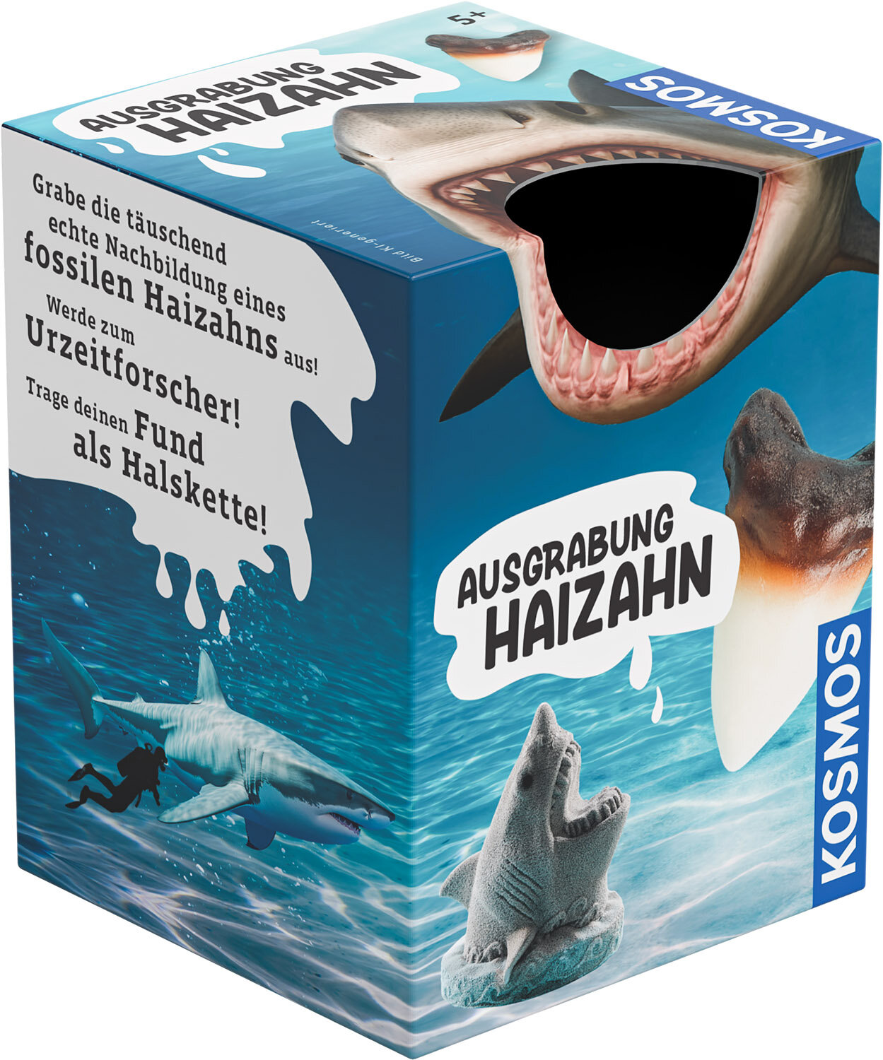 Ausgrabung: Hai-Zahn Haie, Zahn, Requisiten, Unterwasser, Box
