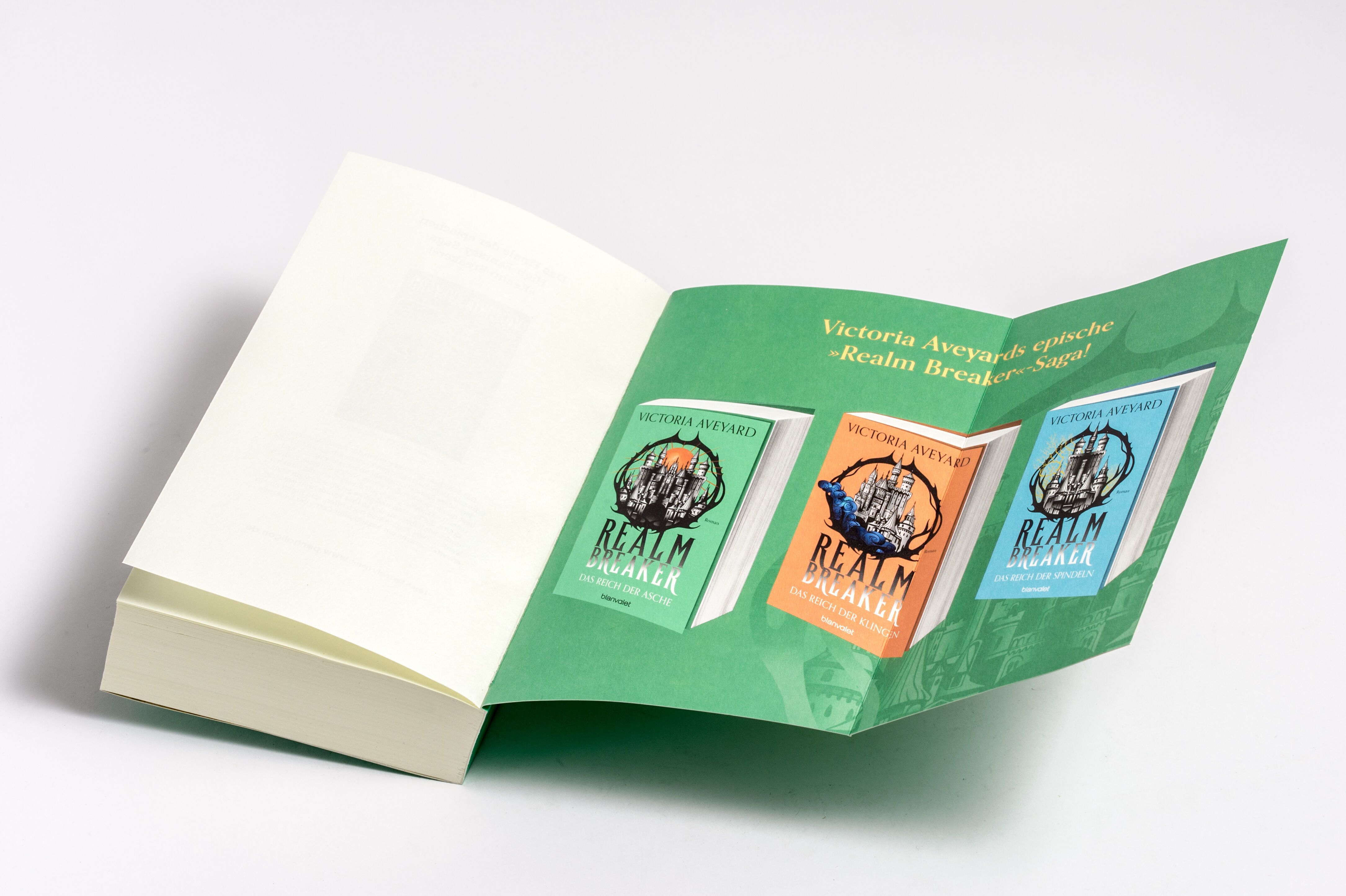 Realm Breaker Bd.1: Das Reich der Asche Buch, Broschur, Illustrierte Ausstattung, Realm Breaker, Victoria Aveyard