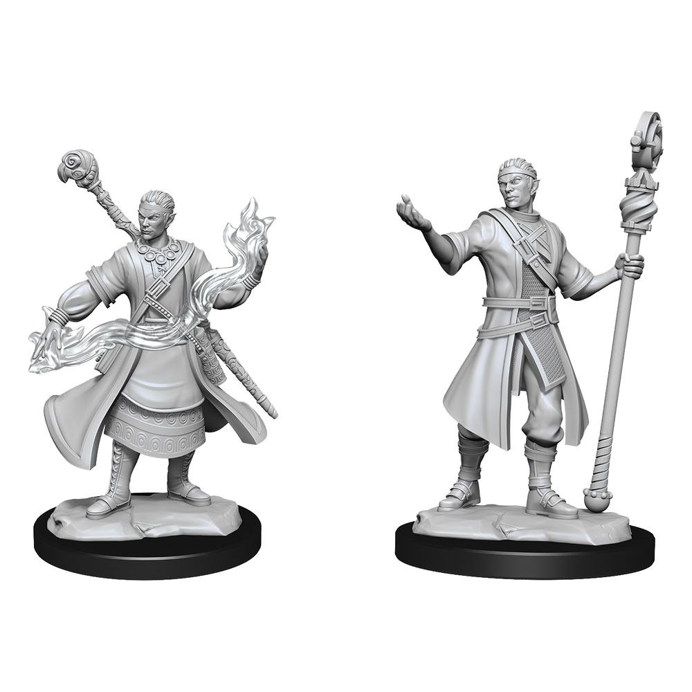 D&D Miniatures: Half-Elf Wizard Male