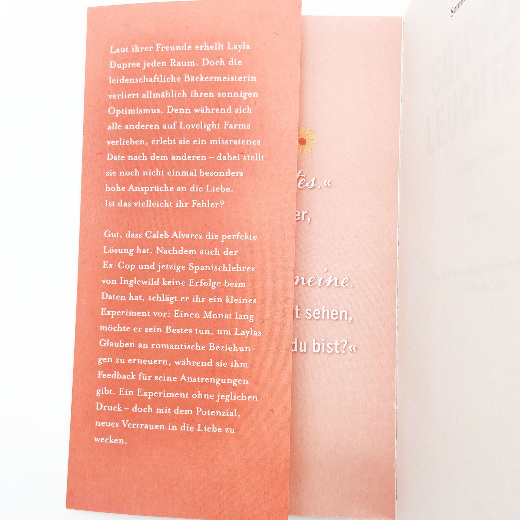 Papierkarte, Zettel, Textcollage, Rosa, Broschur