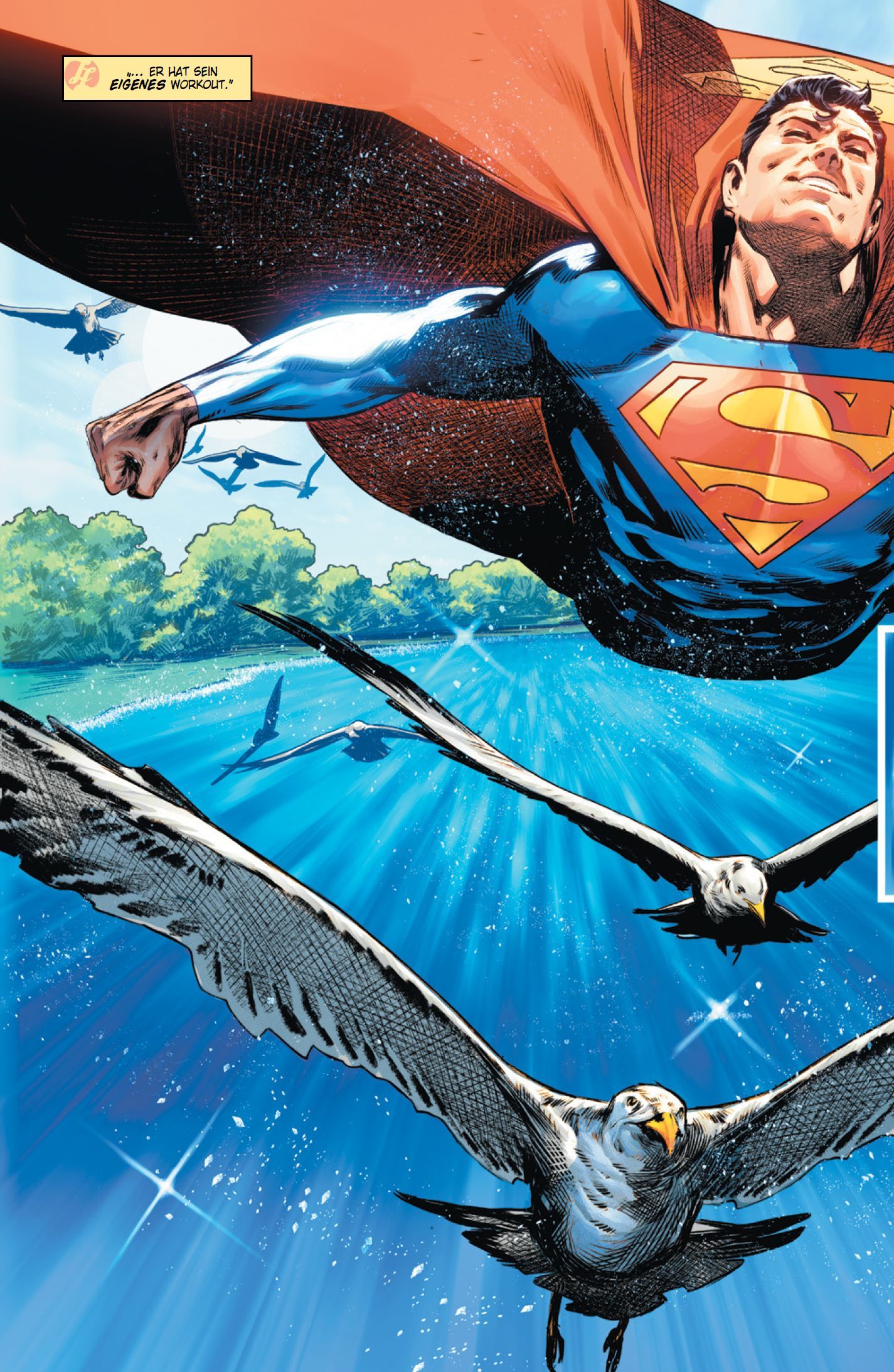 Superman, Cape, Fliegen, Blauer Anzug, Möwen