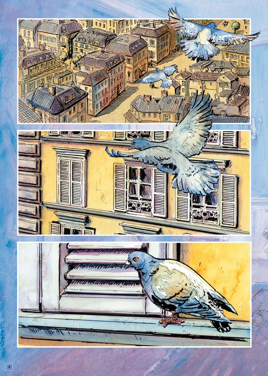 Tauben, Vögel, Stadtansicht, Häuserfassade, Fensterrahmen