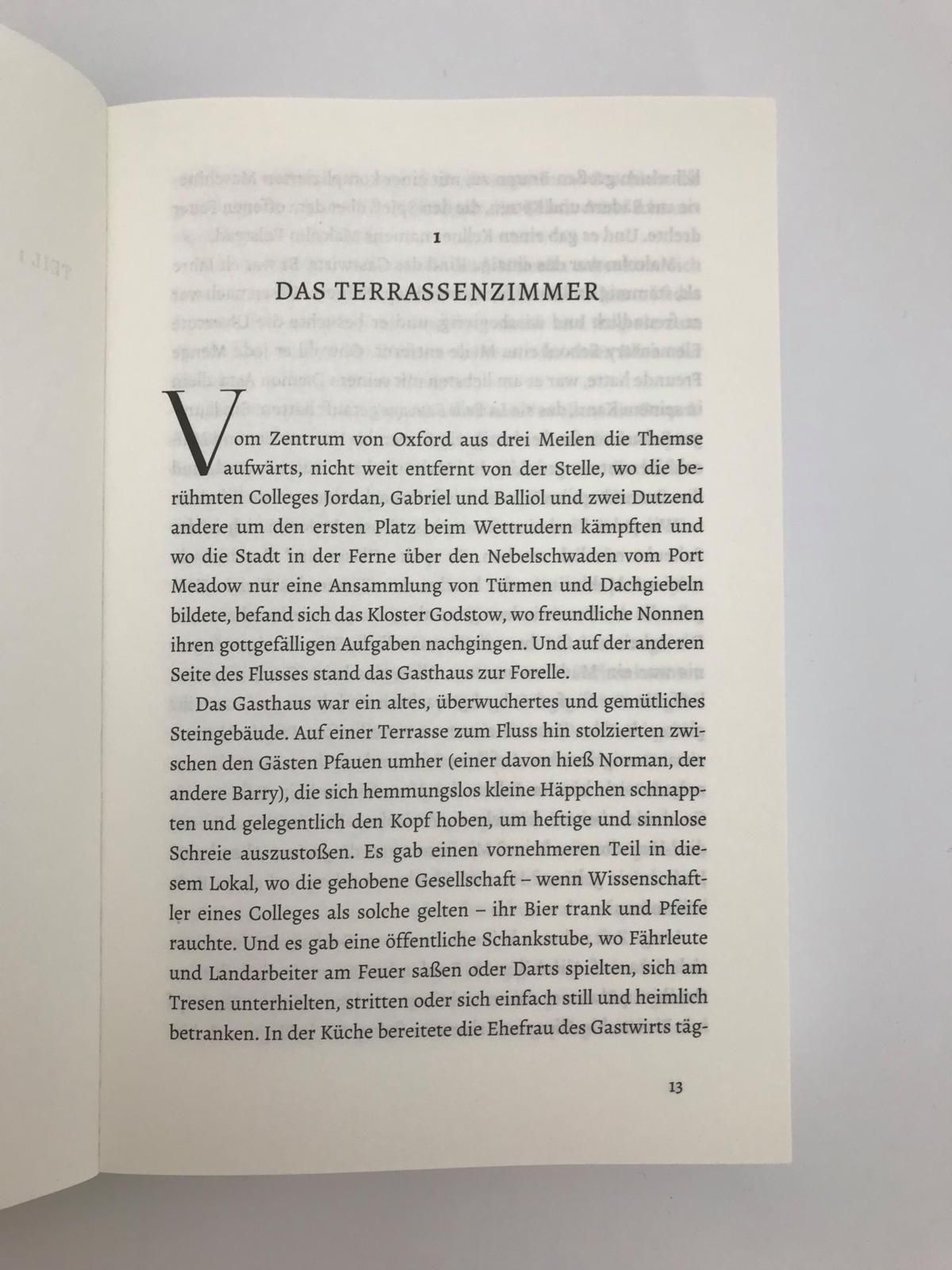 buchseite, roman, dicker text, absatz, kapitelanfang