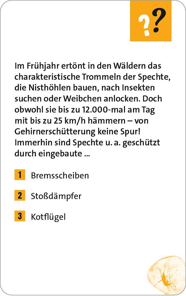 Quizzen & Wissen: Alltagsrätsel Bremsen, Stahltrommel, Kotflügel, Insektenschutz