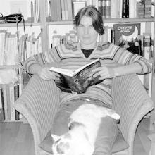 lesen, Sessel, Katze, Buch, Pullover, gestreift