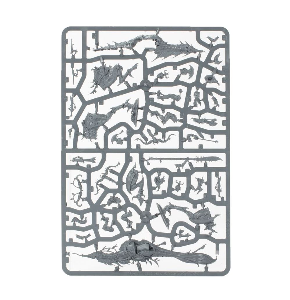 Warhammer: Hedonites of Slaanesh - Slickblade Seekers