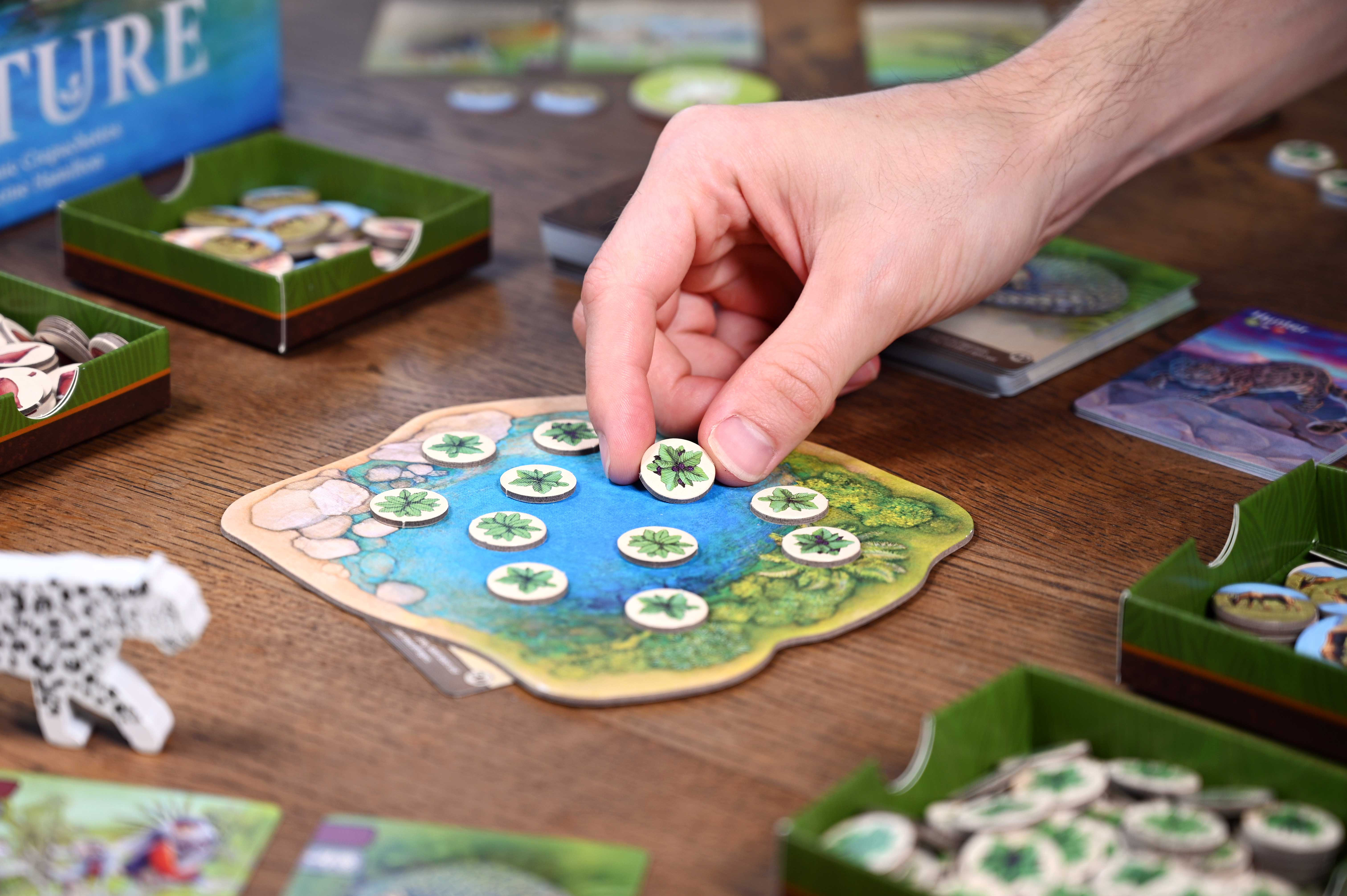 Brettspiel, Token, Spielbrett, Hand legt Token, Grüner Pflanzentoken