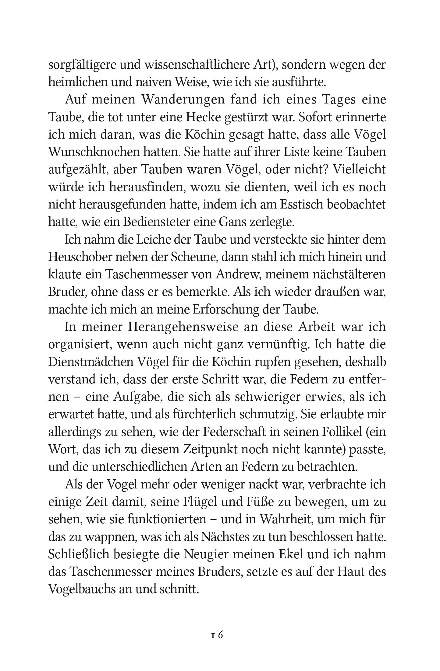 Taube, Vogel, Buch Seite, Schrift, Seite 6