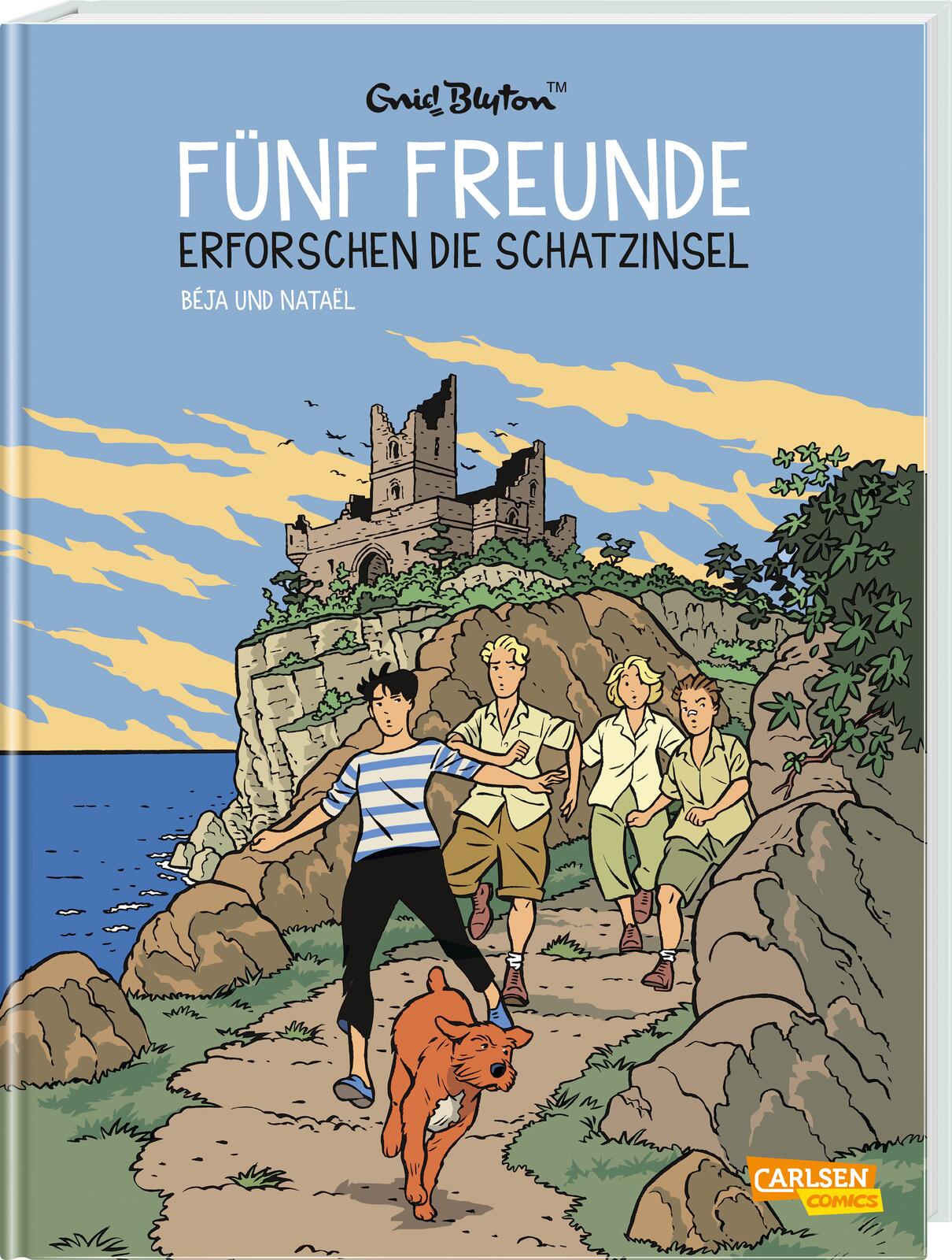 Fünf Freunde Bd.1: ...erforschen die Schatzinsel