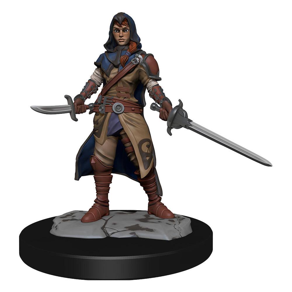 D&D Miniatures: Half-Elf Rogue Female