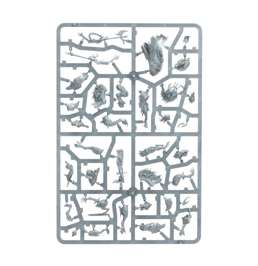 Age of Sigmar: Warcry - Royal Beastflayers Age of Sigmar: Warcry - Royal Beastflayers