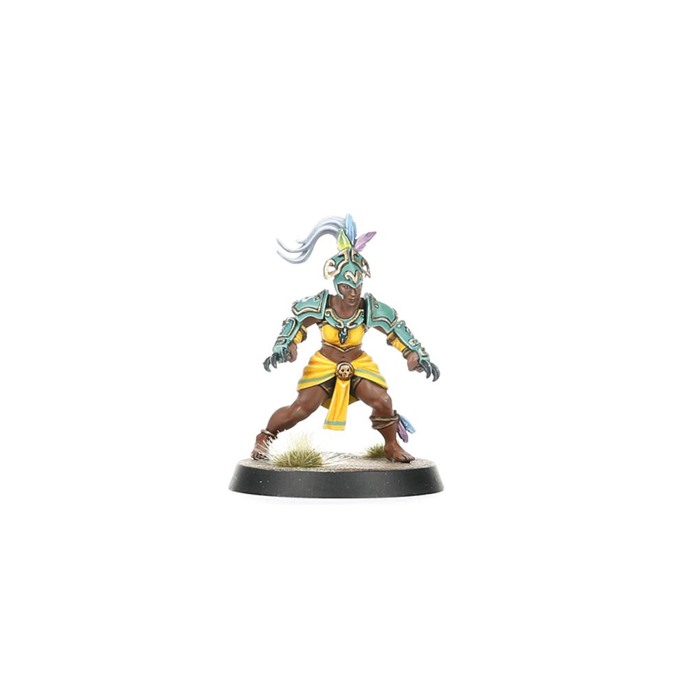 Blood Bowl: Amazon Team