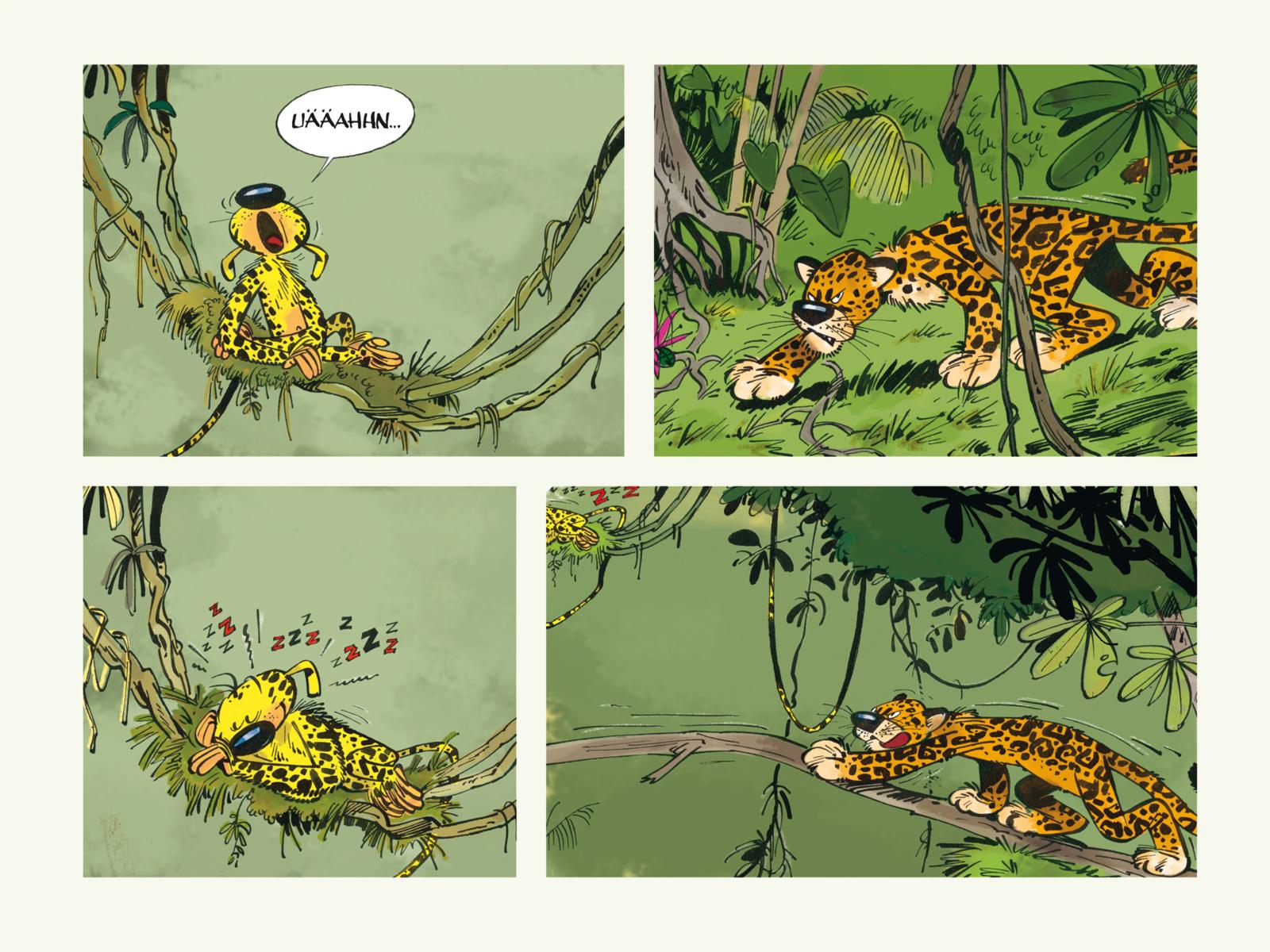 Huba! - Eine Marsupilami-Liebesgeschichte 