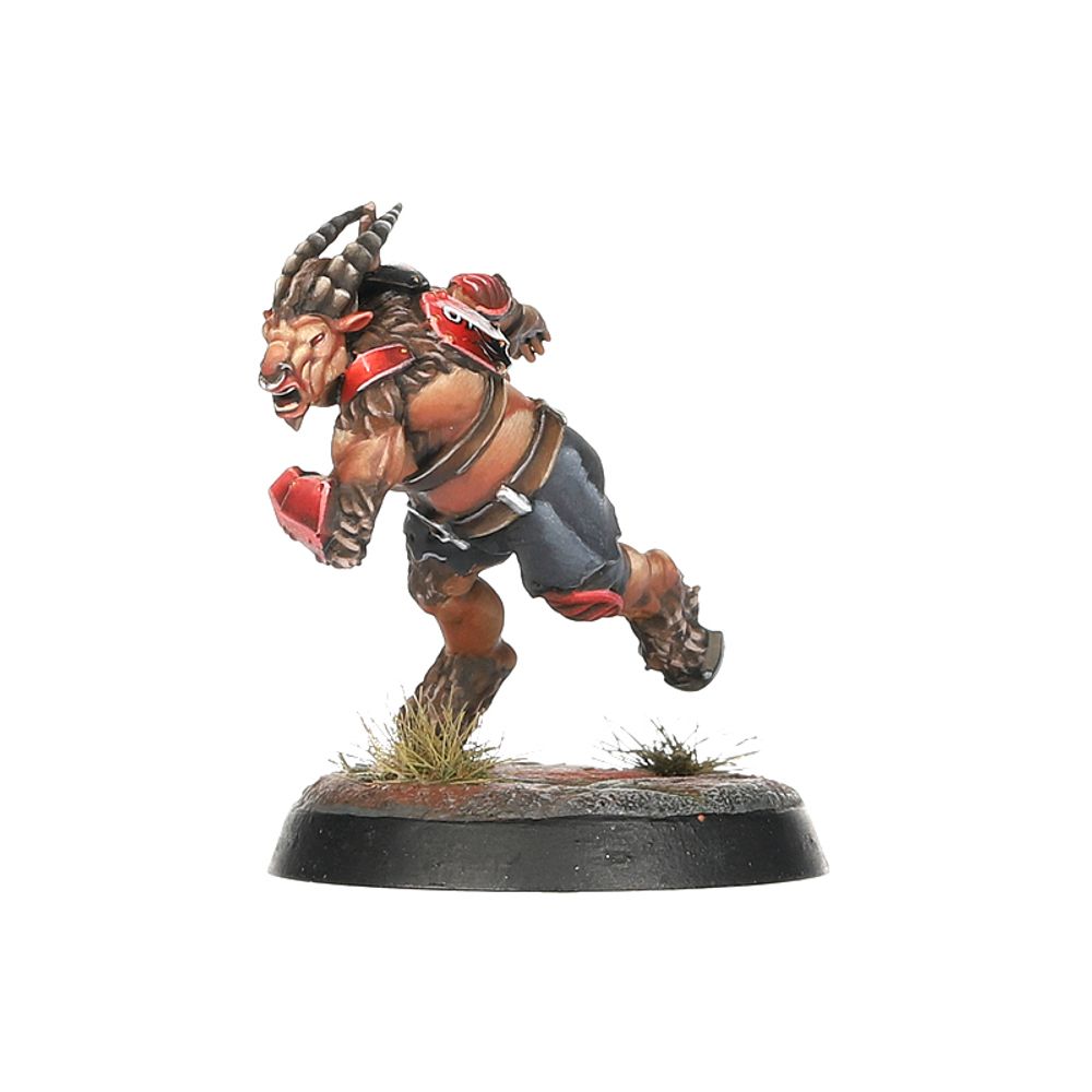 Blood Bowl: Chaos Chosen Team Blood Bowl: Chaos Chosen Team
