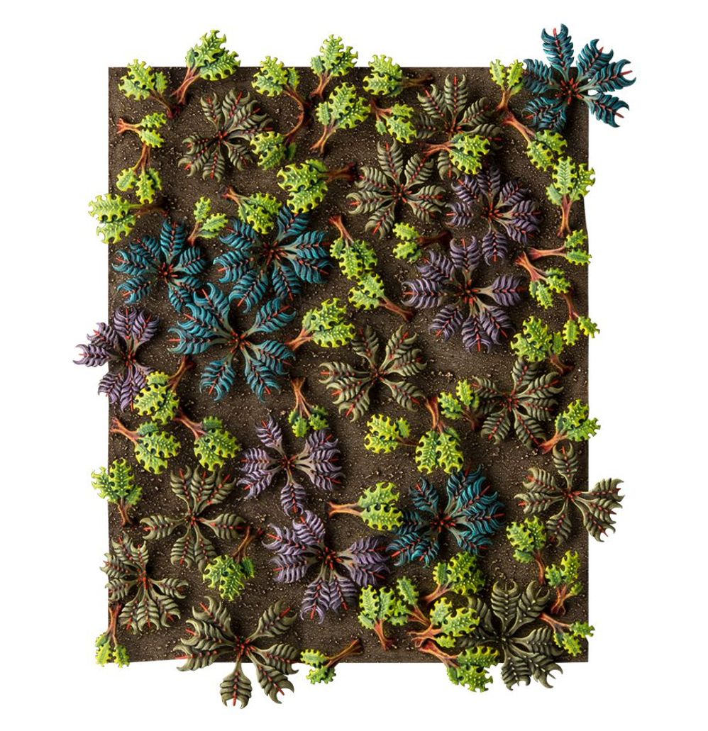 Citadel: Barbed Bracken Citadel: Barbed Bracken