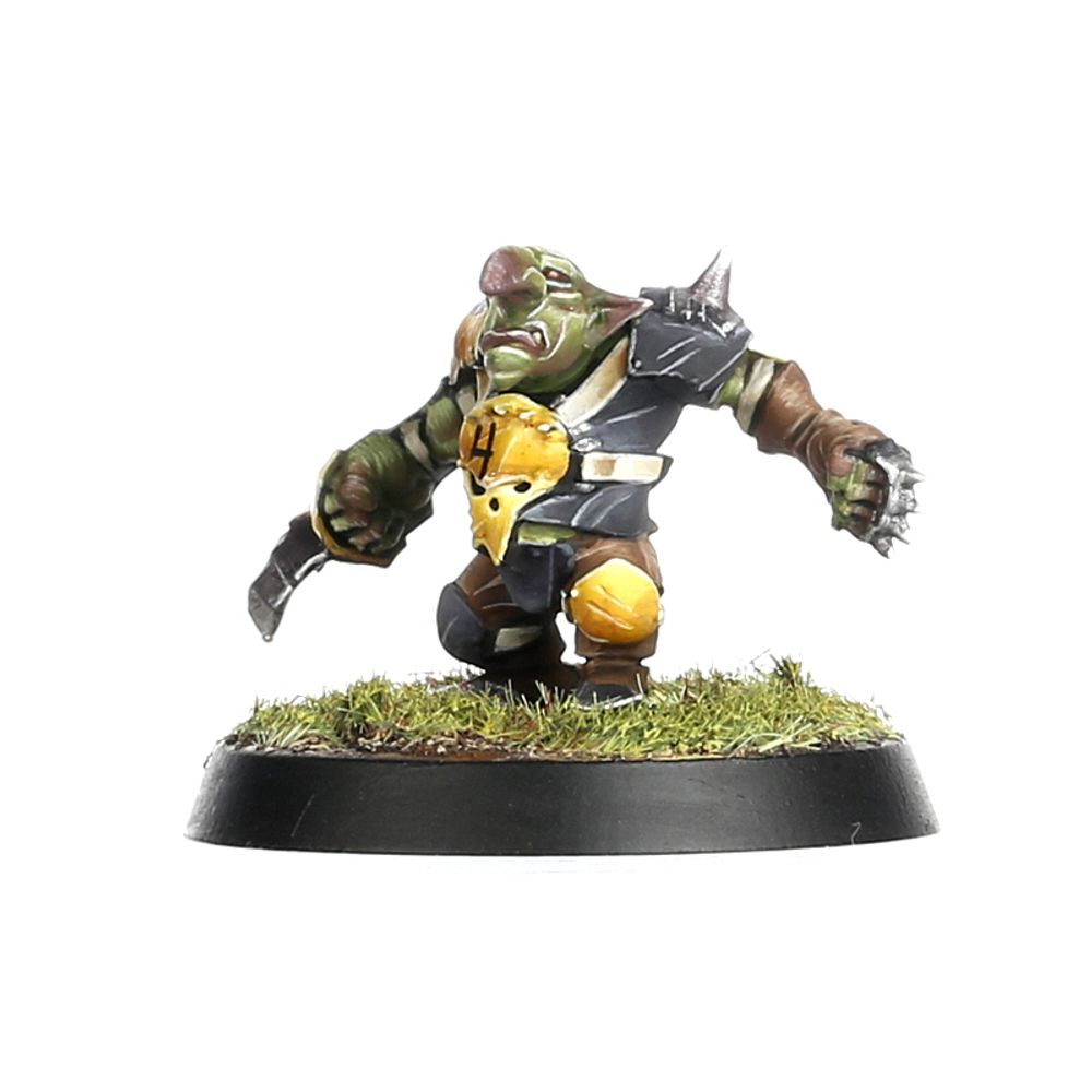 Blood Bowl: Scarcrag Sniffelers Team