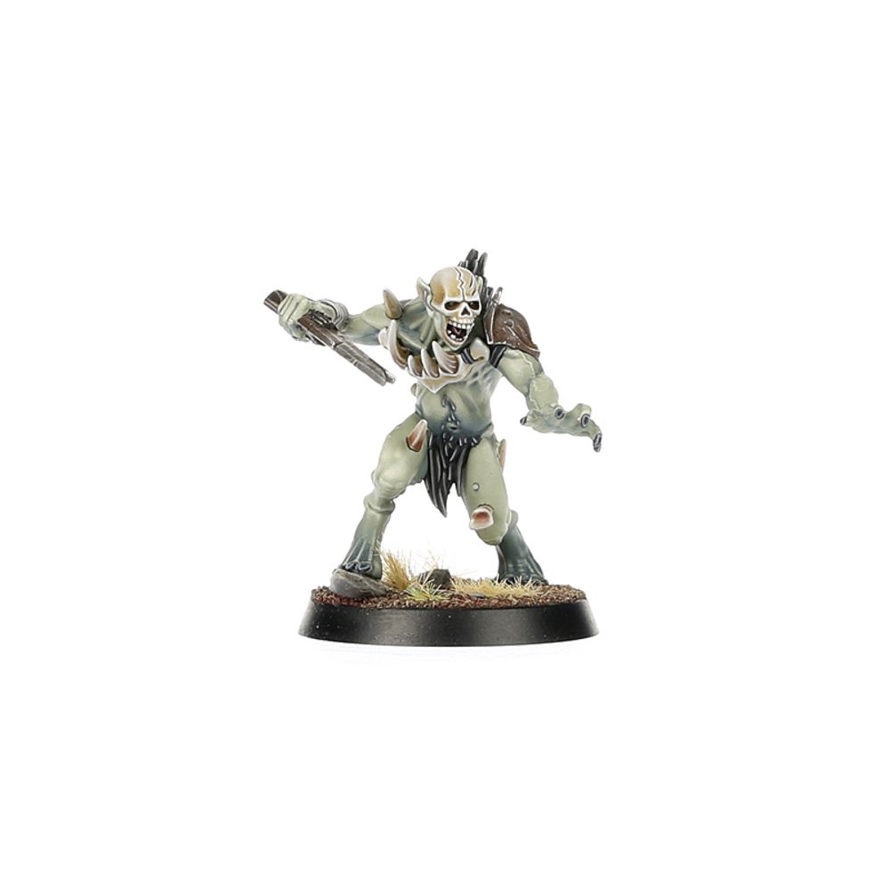 Age of Sigmar: Warcry - Royal Beastflayers Age of Sigmar: Warcry - Royal Beastflayers