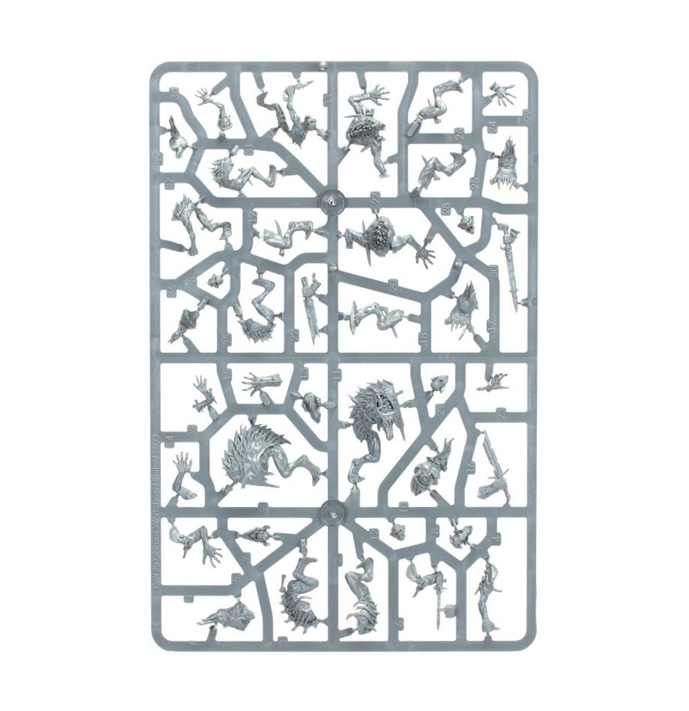 Age of Sigmar: Warcry - Royal Beastflayers Age of Sigmar: Warcry - Royal Beastflayers