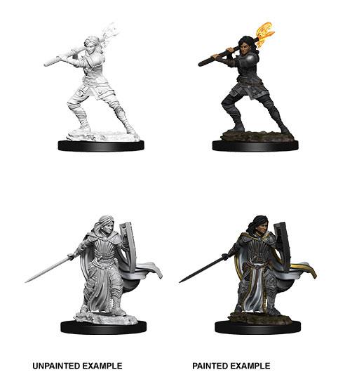 D&D Miniatures: Female Human Paladin