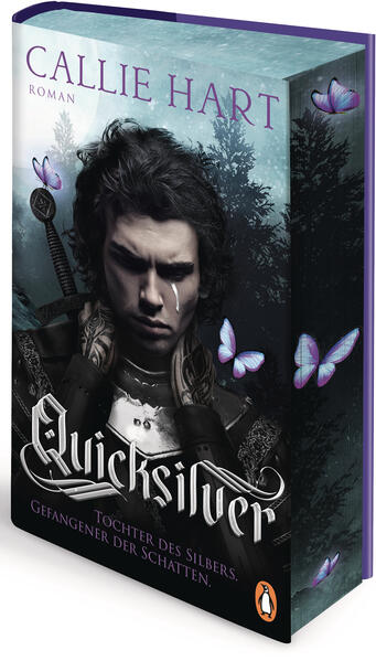 Quicksilver Bd.1 Quicksilver Bd.1