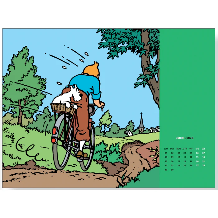 Tim & Struppi: Taschenkalender 2026 int.