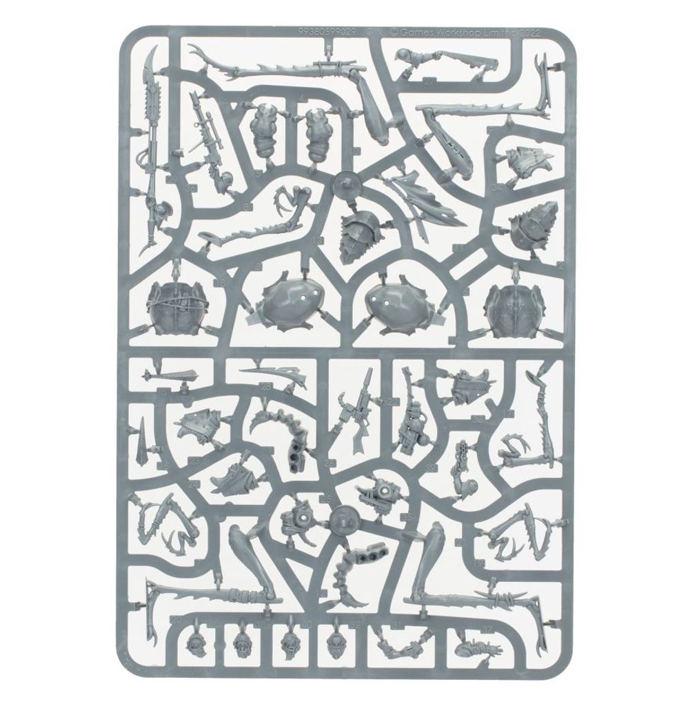 Necromunda: Ash Wastes Dustback Helamite Riders Necromunda: Ash Wastes Dustback Helamite Riders