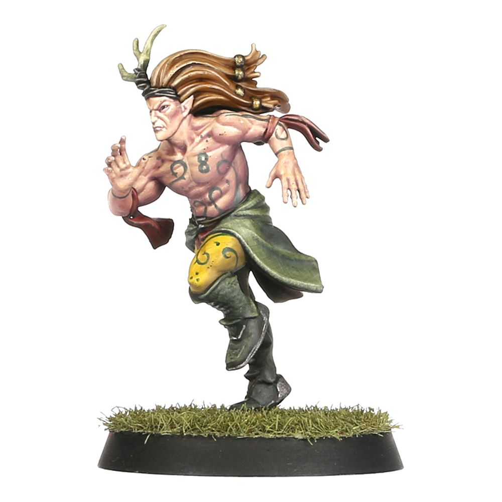 Blood Bowl: Athelorn Avengers